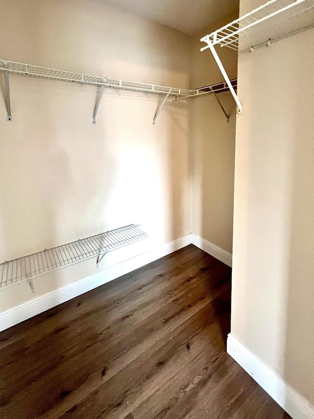 9815 Watermill Cir Unit B, Boynton Beach, FL 33437 - spacious closet with dark wood-type flooring
