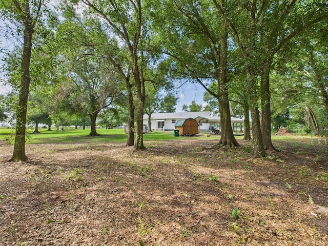 7281 NW 90th Ct, Okeechobee, FL 34972 - view of yard with a carport