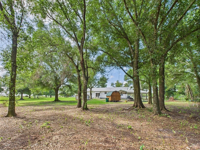 7281 NW 90th Ct, Okeechobee, FL 34972 - view of yard with a detached carport