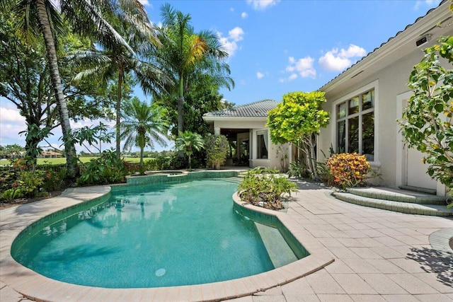 8571 Egret Lakes Ln, West Palm Beach, FL 33412 - view of swimming pool with a patio area and a pool with connected hot tub