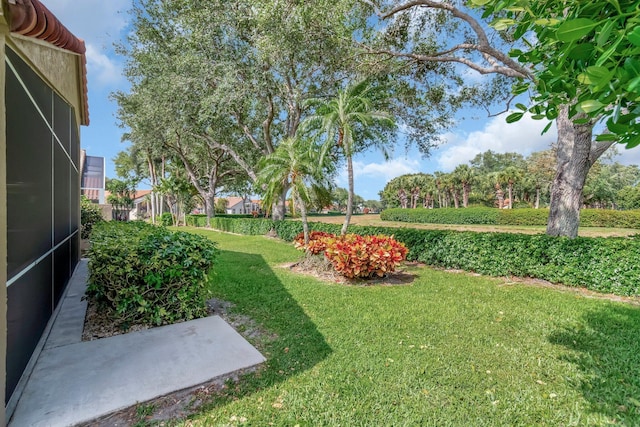 6661 Sherbrook Dr, Boynton Beach, FL 33437 - view of green lawn