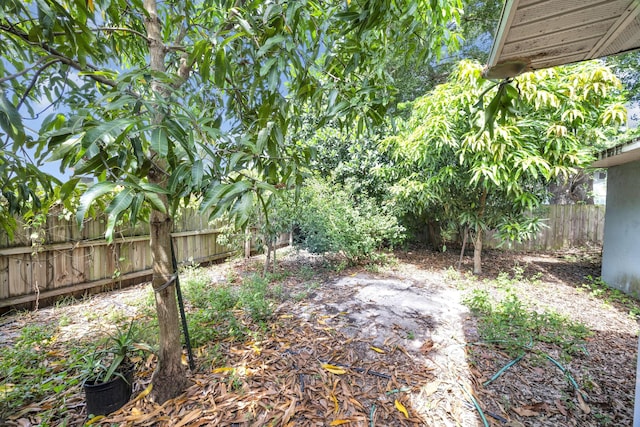 1966 9th St, Vero Beach, FL 32960 - view of yard