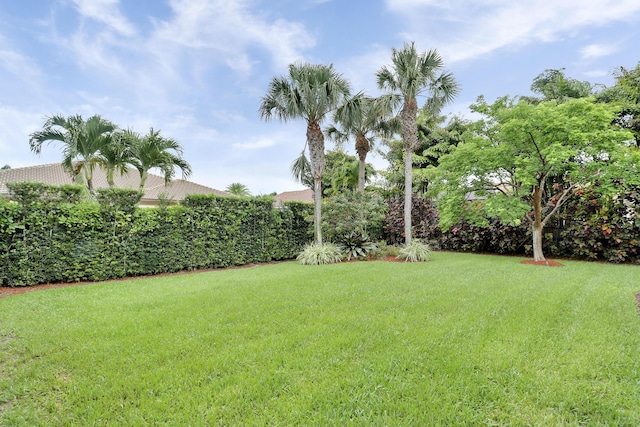 244 Behring Way, Jupiter, FL 33458 - view of grassy yard