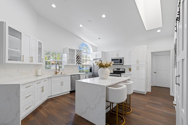 5160 Sabal Gardens Ln Unit 1, Boca Raton, FL 33487 - kitchen with stainless steel appliances, a skylight, a kitchen island, light stone countertops, and recessed lighting