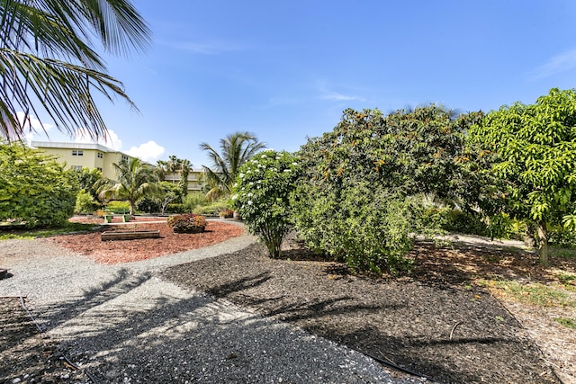 2600 NE 1st Ln Unit 3110, Boynton Beach, FL 33435 - view of yard