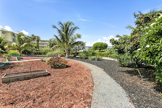 2600 NE 1st Ln Unit 3110, Boynton Beach, FL 33435 - view of community