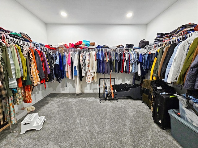 690 NE 150th Ct, Morriston, FL 32668 - spacious closet featuring carpet