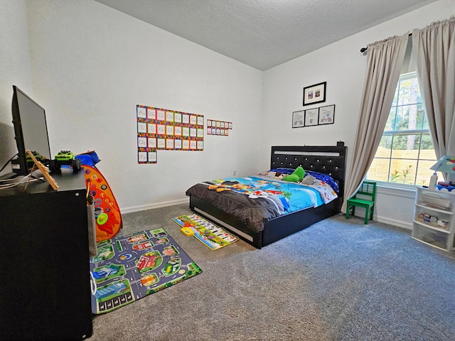 690 NE 150th Ct, Morriston, FL 32668 - carpeted bedroom featuring baseboards and a textured ceiling
