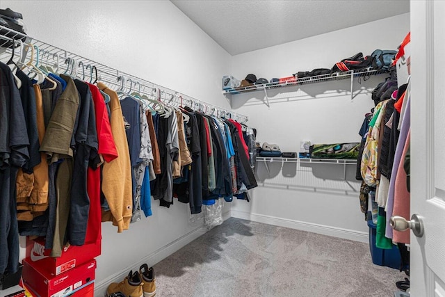 5371 NW Almond Ave, Port Saint Lucie, FL 34986 - spacious closet with carpet flooring
