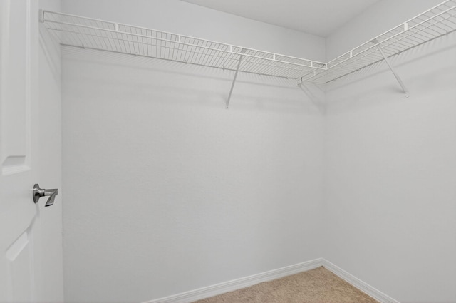 15185 Michelangelo Blvd Unit 207, Delray Beach, FL 33446 - spacious closet with light colored carpet