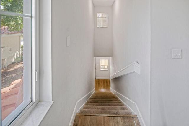 11765 W Atlantic Blvd Unit 1626, Coral Springs, FL 33071 - stairs featuring wood finished floors and baseboards