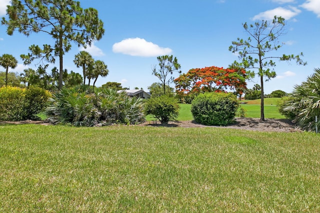 15822 Loch Maree Ln Unit 3203, Delray Beach, FL 33446 - view of grassy yard