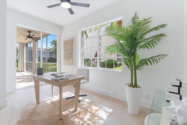 5189 Lake Catalina Dr Unit A, Boca Raton, FL 33496 - office space featuring a ceiling fan and light wood finished floors
