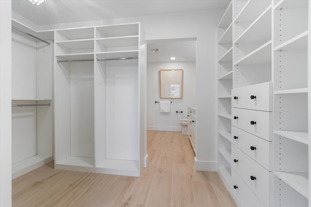 5189 Lake Catalina Dr Unit A, Boca Raton, FL 33496 - walk in closet featuring light wood finished floors