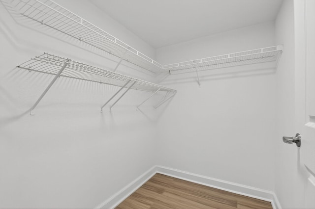 15155 Michelangelo Blvd Unit 103, Delray Beach, FL 33446 - walk in closet with wood finished floors