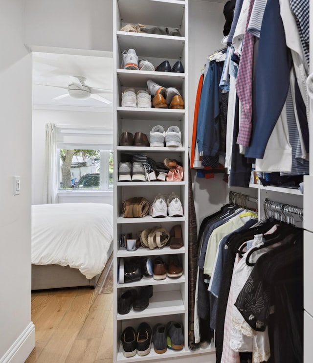 1116 SE 11th St, Fort Lauderdale, FL 33316 - walk in closet featuring wood finished floors and a ceiling fan