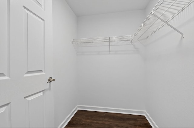 15045 Michelangelo Blvd Unit 104, Delray Beach, FL 33446 - spacious closet featuring dark wood-style flooring