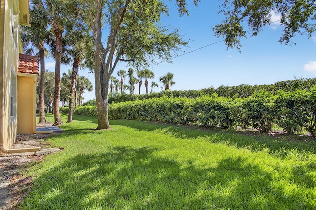 15045 Michelangelo Blvd Unit 104, Delray Beach, FL 33446 - view of green lawn