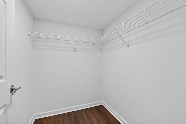 15035 Michelangelo Blvd Unit 105, Delray Beach, FL 33446 - spacious closet featuring dark wood-type flooring