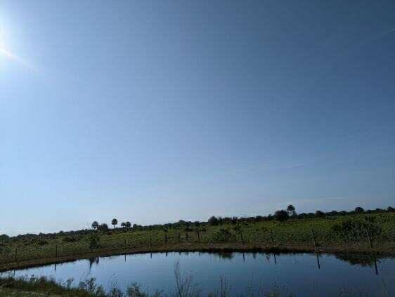 20538 NW 284th St, Okeechobee, FL 34972