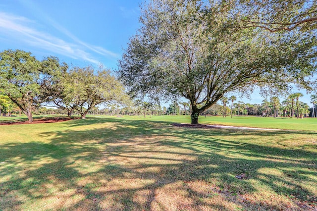 13308 Verdun Dr, Palm Beach Gardens, FL 33410 - view of grassy yard