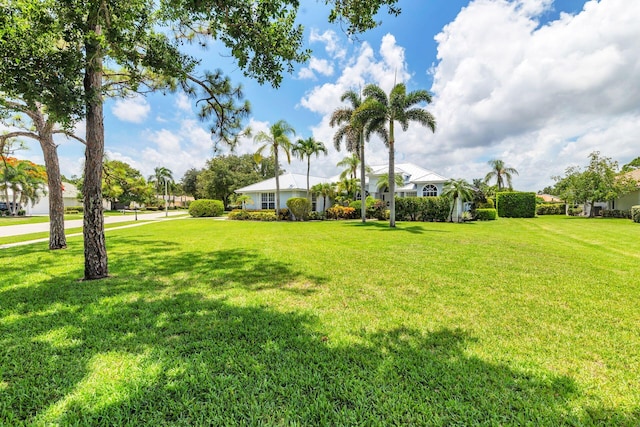 6025 Fountain Palm Dr, Jupiter, FL 33458 - view of green lawn