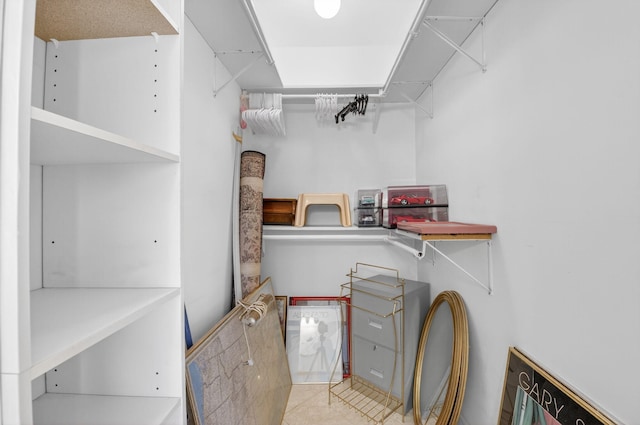 1111 Lemon Tree Ter Unit 204, Delray Beach, FL 33445 - view of walk in closet