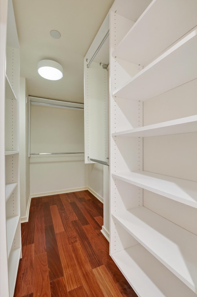 4000 N Ocean Dr Unit 204, Singer Island, FL 33404 - walk in closet featuring wood finished floors