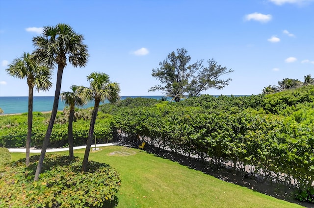 4000 N Ocean Dr Unit 204, Singer Island, FL 33404 - surrounding community with a water view and a lawn