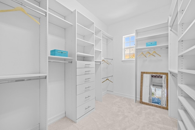 326 Tuxedo Ln, West Palm Beach, FL 33401 - walk in closet featuring light carpet