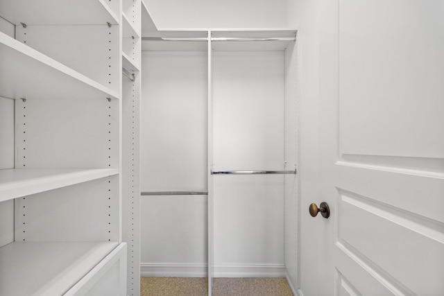 326 Tuxedo Ln, West Palm Beach, FL 33401 - view of spacious closet