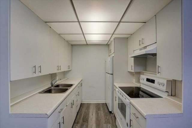 4110 Newport U Unit 4110, Deerfield Beach, FL 33442 - kitchen featuring under cabinet range hood, white appliances, a paneled ceiling, dark wood-type flooring, and light countertops
