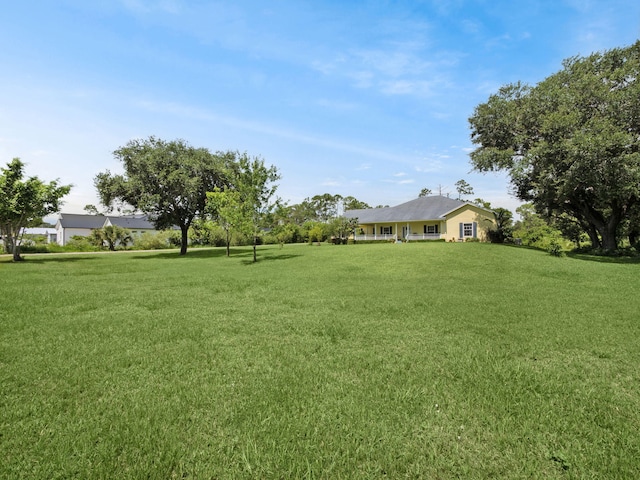 5301 Bald Cypress Trl, Fort Pierce, FL 34951 - view of green lawn