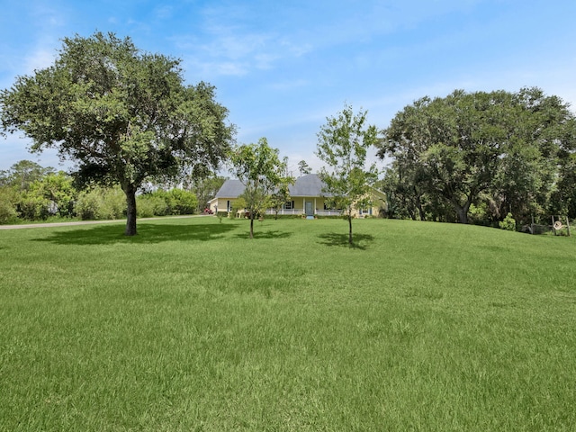 5301 Bald Cypress Trl, Fort Pierce, FL 34951 - view of green lawn