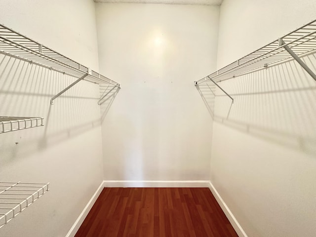 751 Cypress Ln Unit K, Deerfield Beach, FL 33064 - spacious closet with wood finished floors