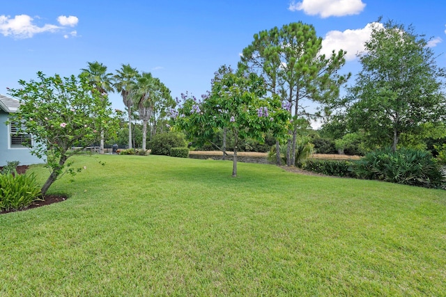 709 SW Sun Cir, Palm City, FL 34990 - view of grassy yard