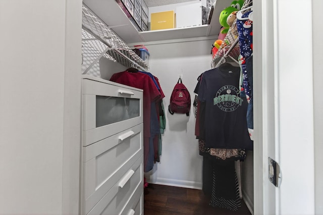 2520 SW Natura Blvd, Deerfield Beach, FL 33441 - walk in closet with dark wood-type flooring