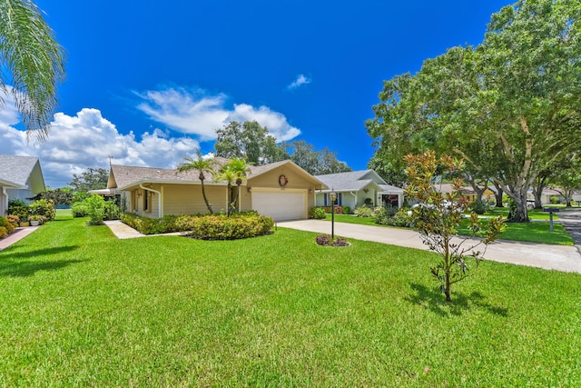 13116 SE Point O Woods Ct, Hobe Sound, FL 33455 - single story home featuring concrete driveway, a garage, and a front lawn