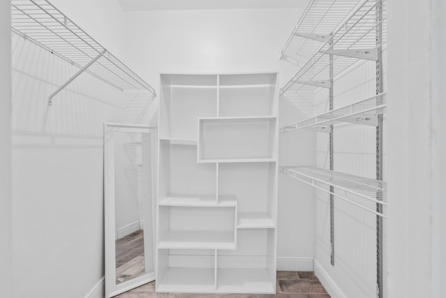 3665 Silver Lace Ln Unit 80, Boynton Beach, FL 33436 - view of walk in closet
