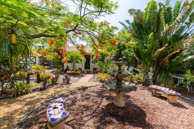 1016 N E St, Lake Worth Beach, FL 33460 - view of yard