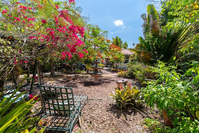 1016 N E St, Lake Worth Beach, FL 33460 - view of yard