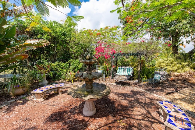 1016 N E St, Lake Worth Beach, FL 33460 - view of yard