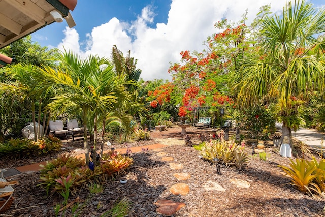 1016 N E St, Lake Worth Beach, FL 33460 - view of yard