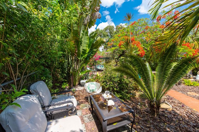 1016 N E St, Lake Worth Beach, FL 33460 - view of yard with a patio