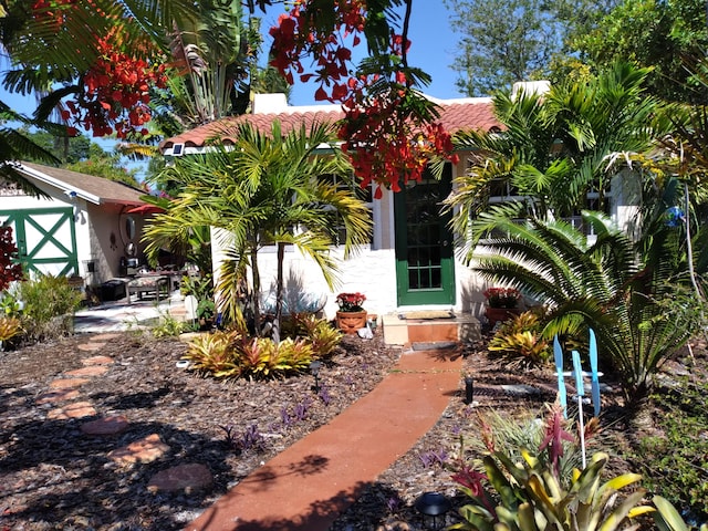 1016 N E St, Lake Worth Beach, FL 33460 - property entrance featuring a patio area and stucco siding