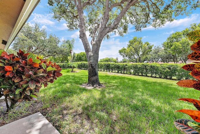 8368 Sunmeadow Ln, Boca Raton, FL 33496 - view of grassy yard