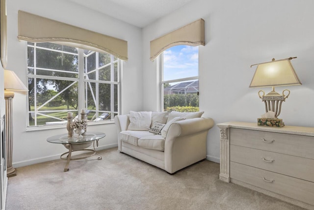 1267 SW Briarwood Dr, Saint Lucie West, FL 34986 - living area featuring healthy amount of natural light and carpet flooring