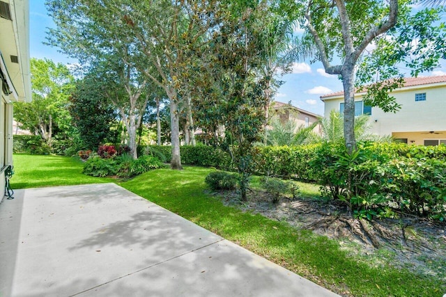 4086 Woodhill Pl, Boynton Beach, FL 33436 - view of grassy yard featuring a patio area