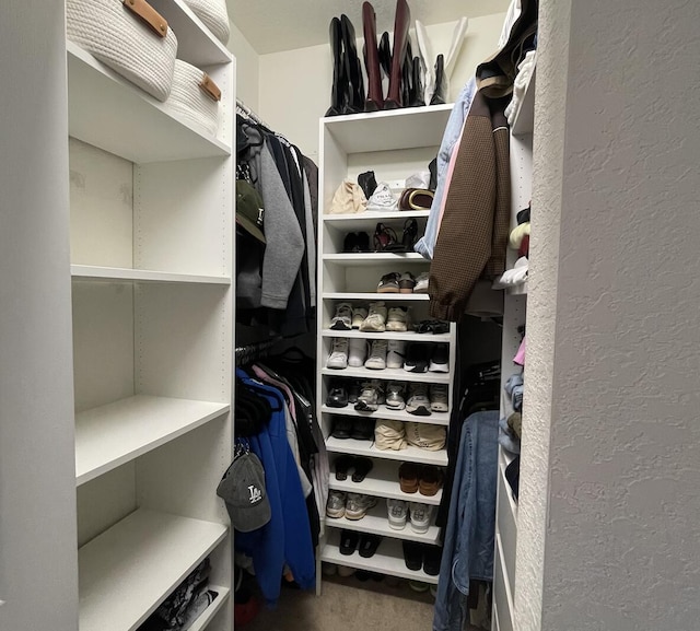 10606 W 33rd Ct, Hialeah, FL 33018 - walk in closet with carpet