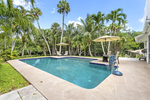 207 Jupiter Woods Dr, Jupiter, FL 33458 - swimming pool featuring a patio and view of wooded area